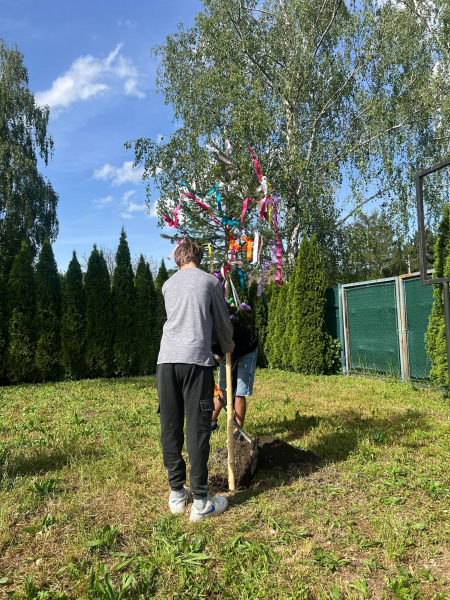 Obrázek v galerii