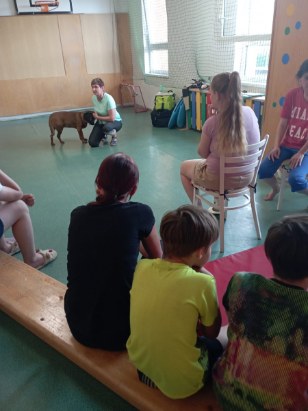 Obrázek v galerii
