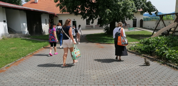 Obrázek v galerii