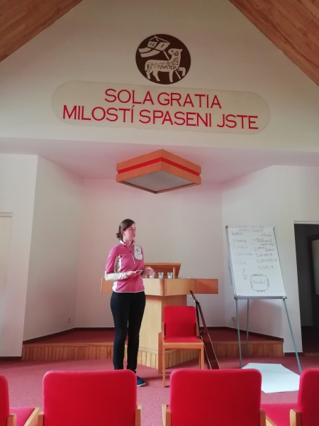 Obrázek v galerii