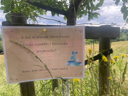 Obrázek v galerii