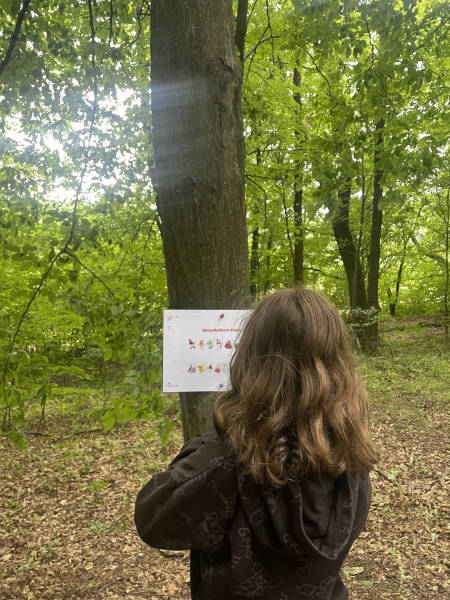 Obrázek v galerii