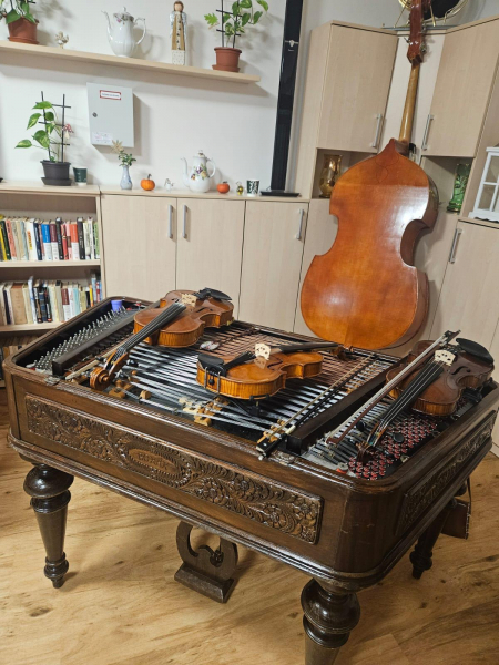 Obrázek v galerii