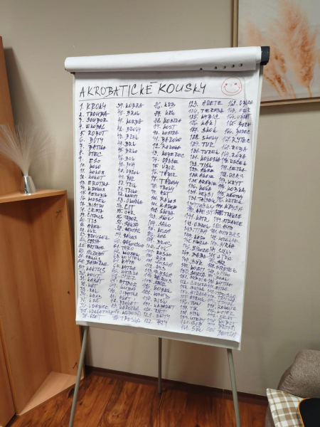 Obrázek v galerii