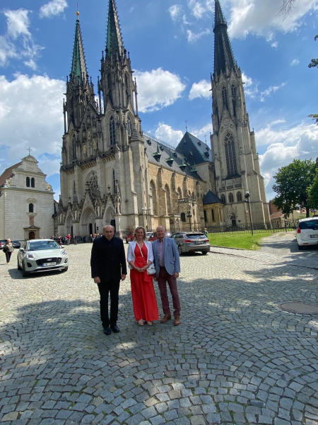 Obrázek v galerii