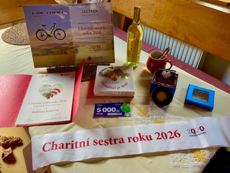 Obrázek v galerii