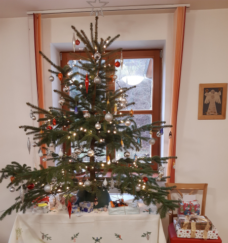 Obrázek v galerii