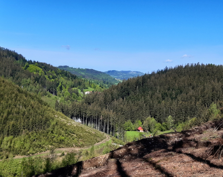 Obrázek v galerii