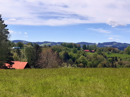 Obrázek v galerii