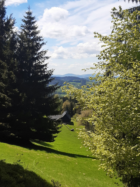 Obrázek v galerii