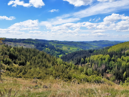 Obrázek v galerii