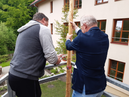 Obrázek v galerii