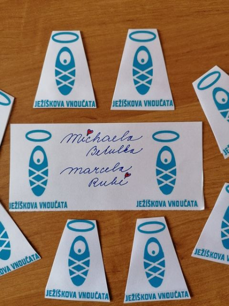 Obrázek v galerii